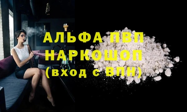 индика Абаза