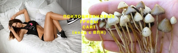мескалин Абинск