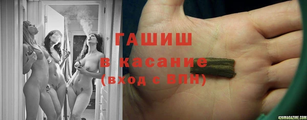 индика Абаза