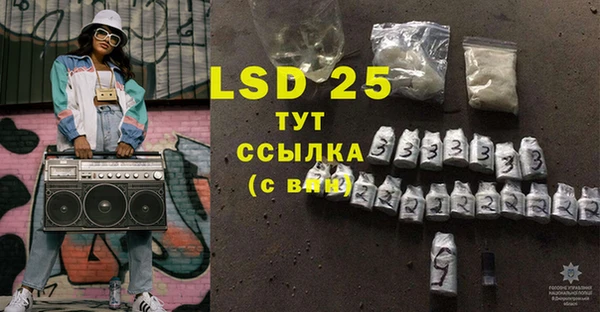 индика Абаза