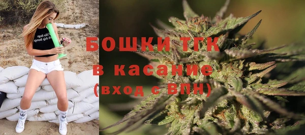 индика Абаза