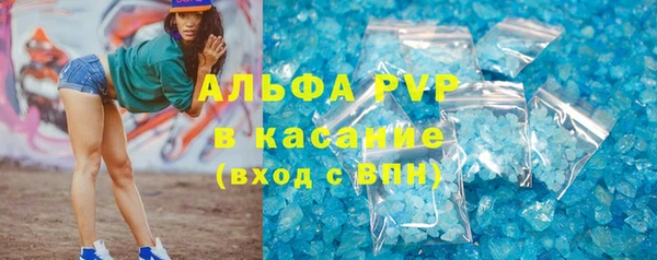 индика Абаза