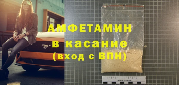 индика Абаза