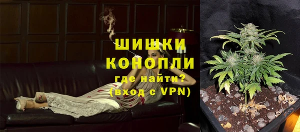 индика Абаза