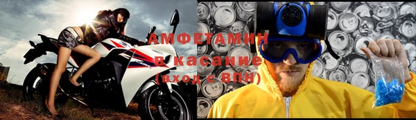 индика Абаза