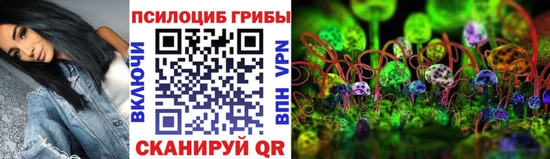 наркошоп  Чекалин  Галлюциногенные грибы мицелий 